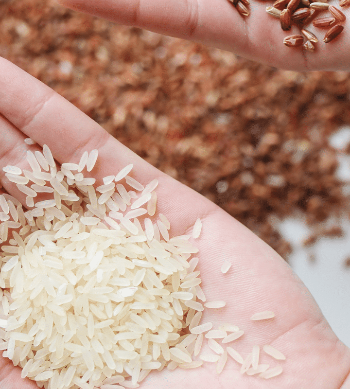 Quantité de Riz par Personne Comment Doser?