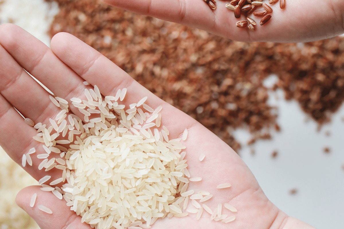 comment doser le riz quelle quantite de riz par personne