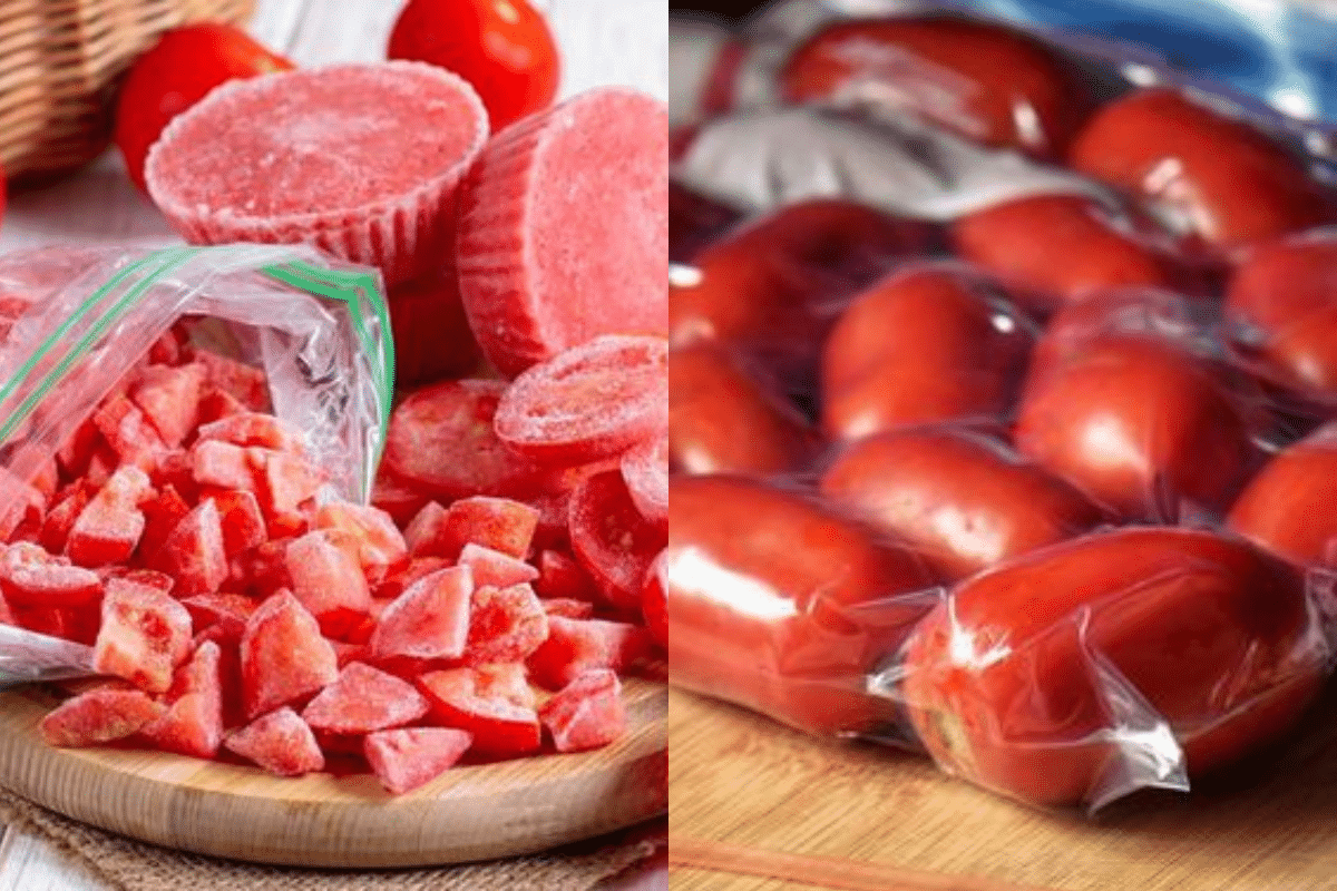 congeler les tomates pourquoi et comment faire