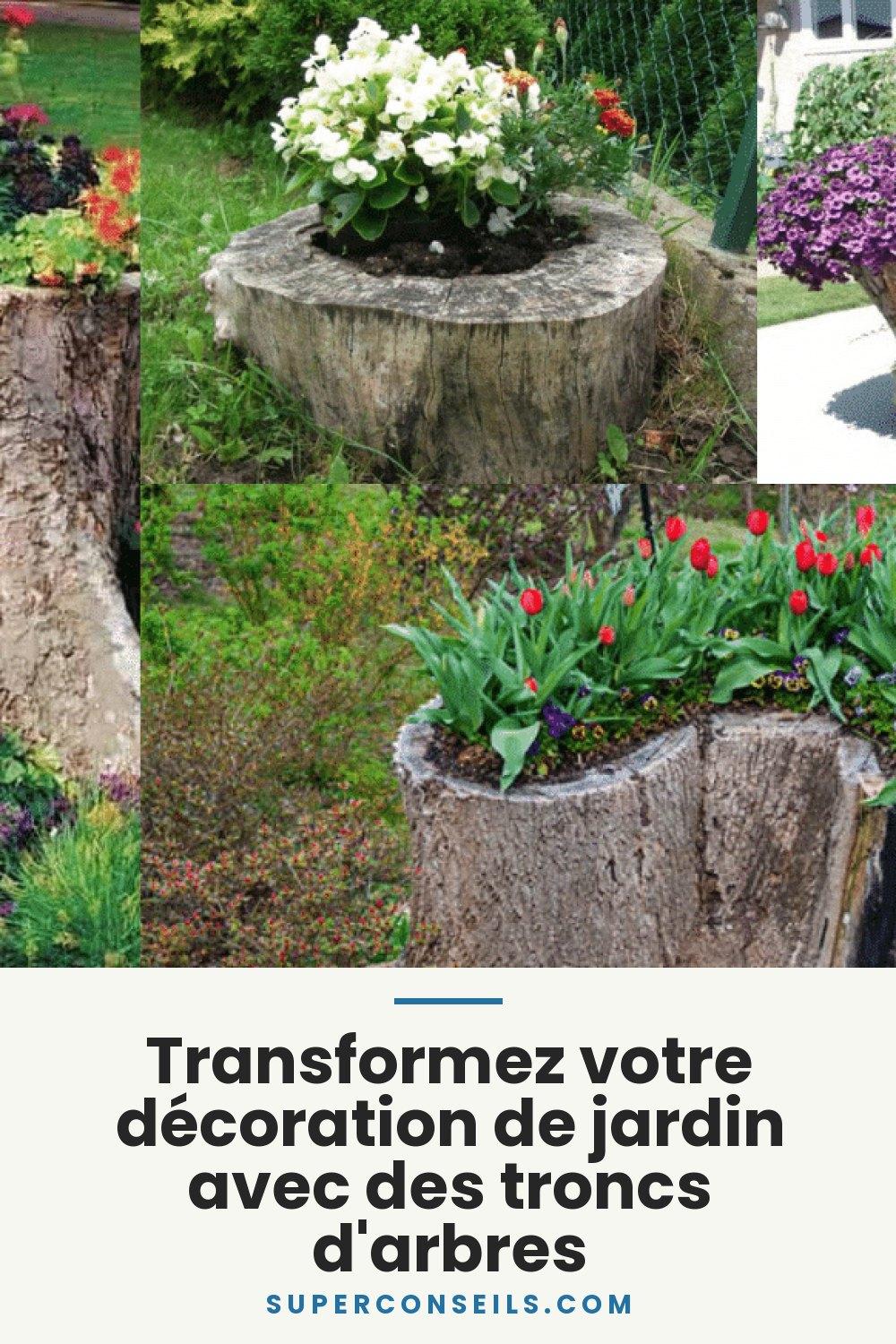 Transformez votre décoration de jardin avec des troncs d'arbres