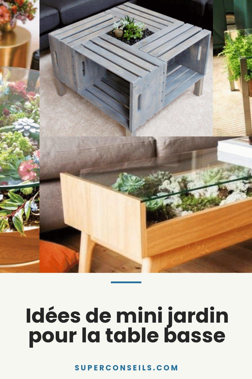 Idées de mini jardin pour la table basse