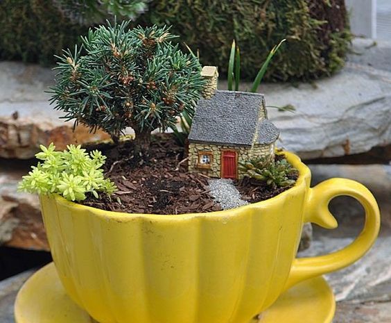 idees de mini jardins dans une tasse 12