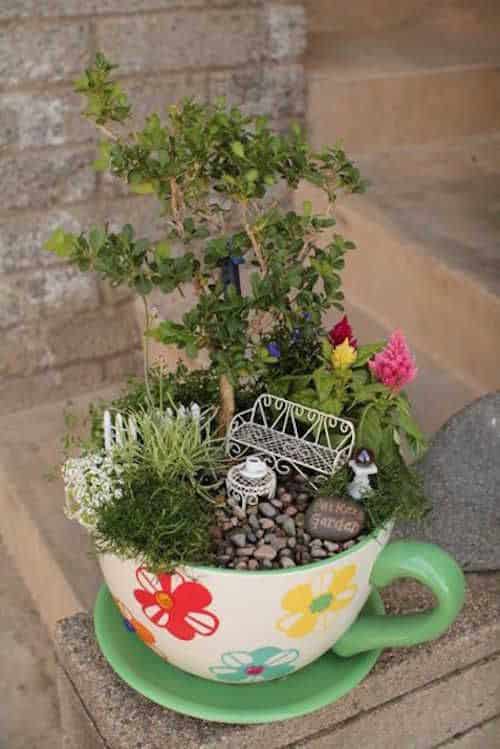 idees de mini jardins dans une tasse 3
