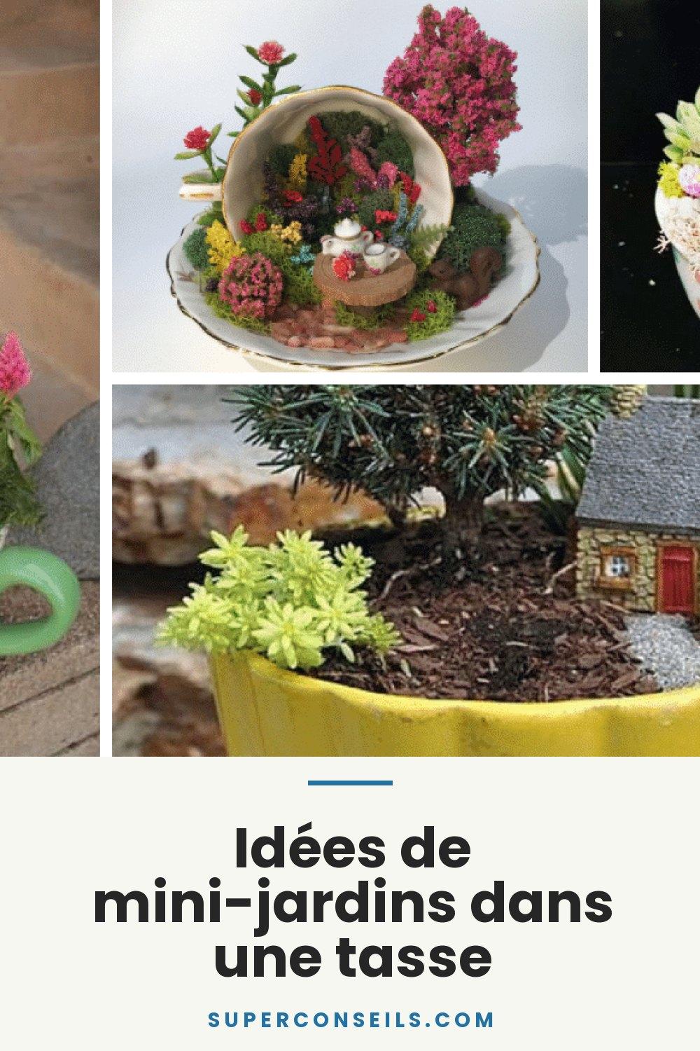 Idées de mini-jardins dans une tasse