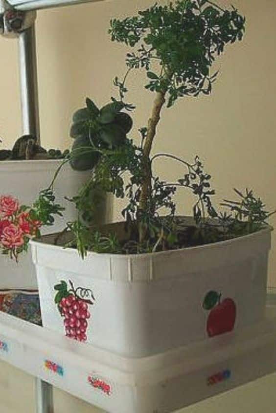 planter des fleurs dans des pots de creme glacee 9