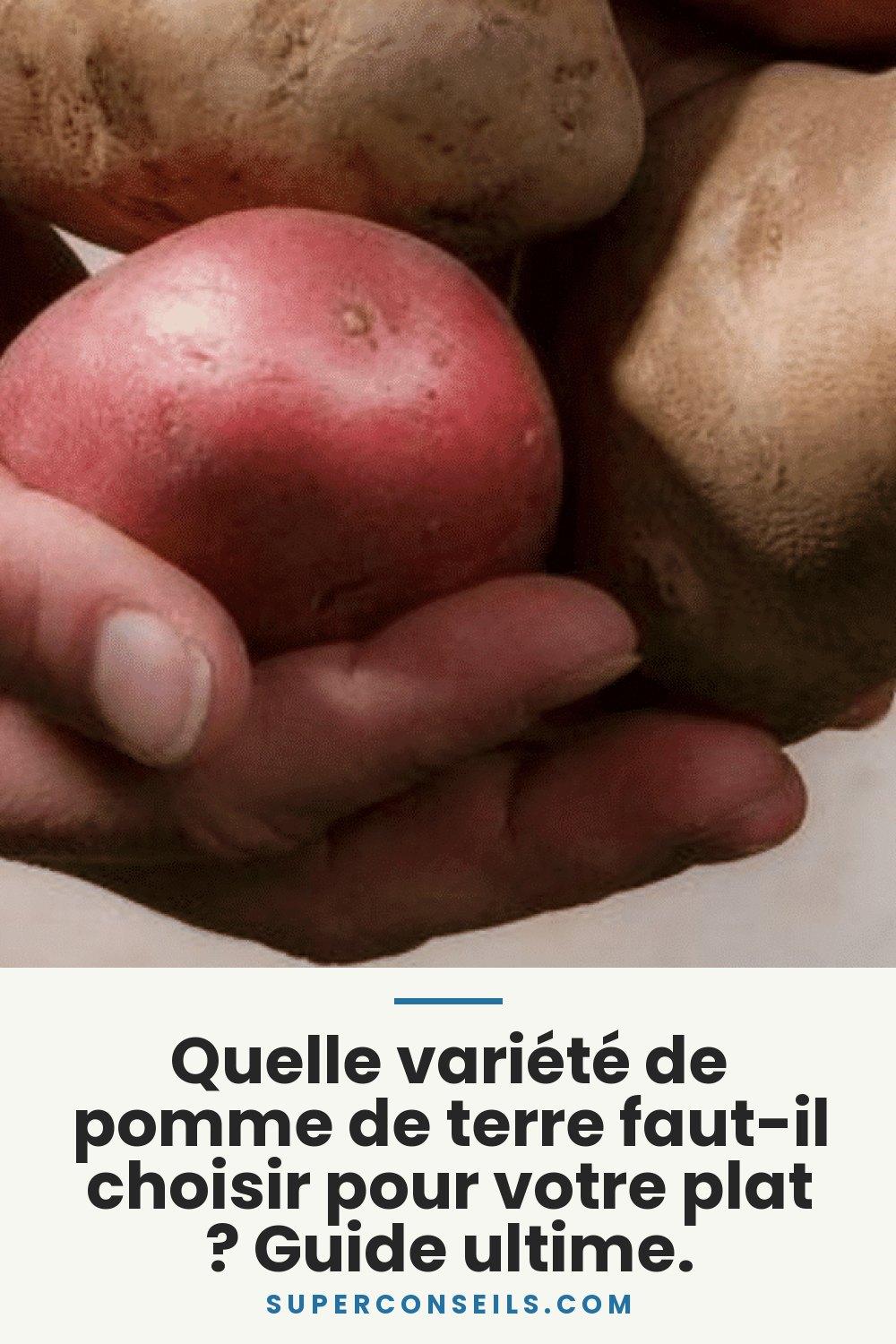 Quelle variété de pomme de terre faut-il choisir pour votre plat ? Guide ultime.